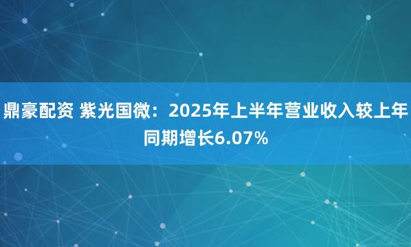 鼎豪配资 紫光国微：2025年上半年营业收入较上年同期增长6.07%